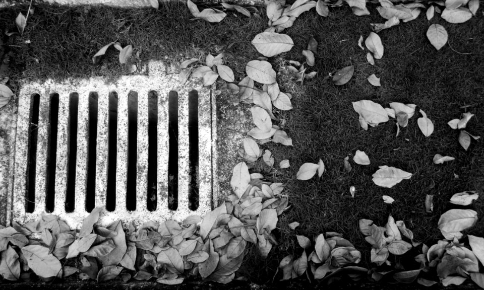 Circling the Drain