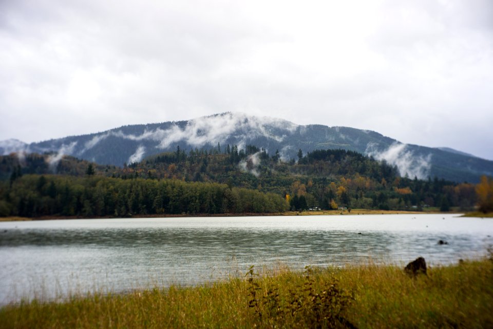 Mt. Rainier national park 6