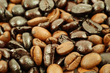 Caffeine fresh grains photo