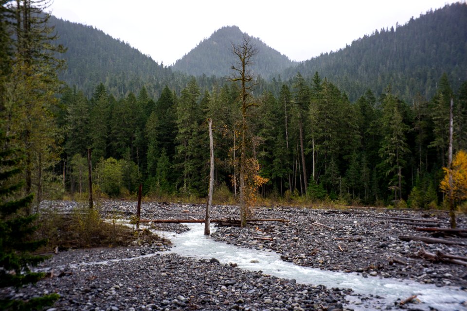 Mt. Rainier national park 3