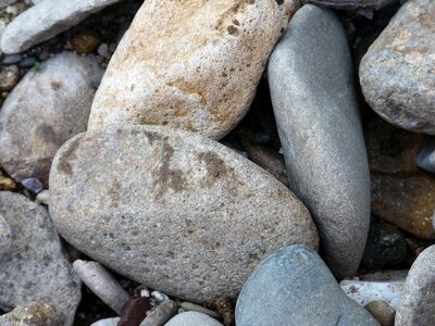 Garden garden stones nature