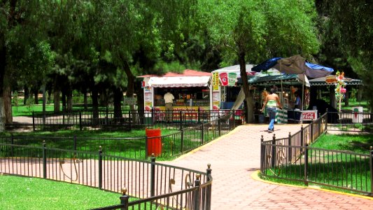 DURANGO  CALLES 2006 4   (113)