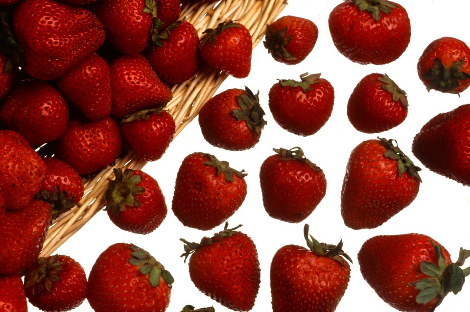 Fruit red berries