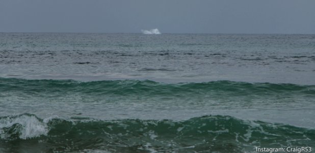 Fraser Island-35