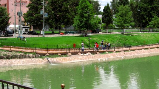 DURANGO  CALLES 2006 4   (116)