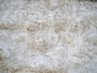 Wall texture concrete surface photo