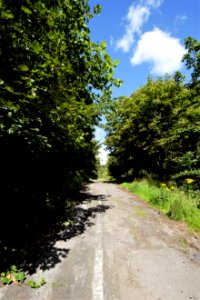 DSC 0609