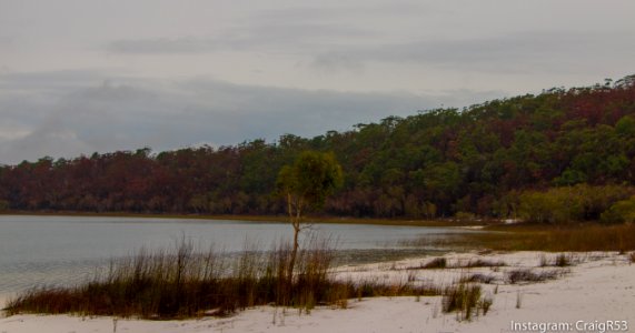 Fraser Island-18 photo