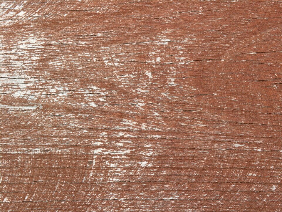 Wood texture background wood texture wooden photo