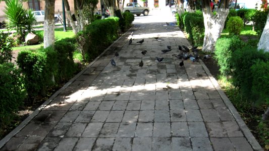 DURANGO  CALLES 2006 4   (4)