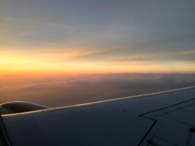 IMG 4555
