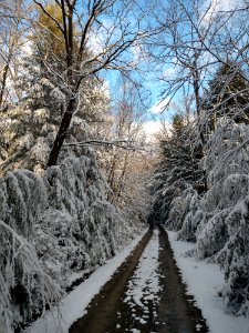 2018-FS-Allegheny-KC photo