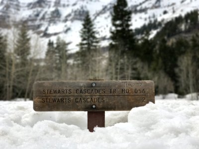 IMG 0204