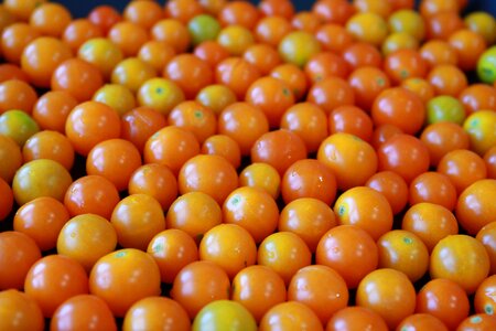 Small tomatoes yellow tomato photo