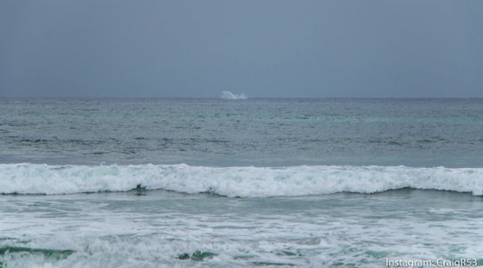 Fraser Island-28