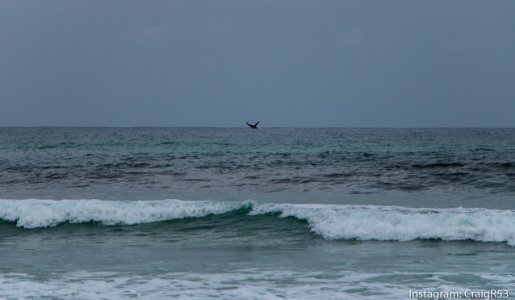 Fraser Island-45 photo