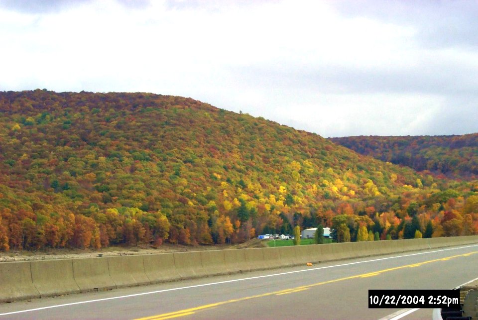 FS-Allegheny-001