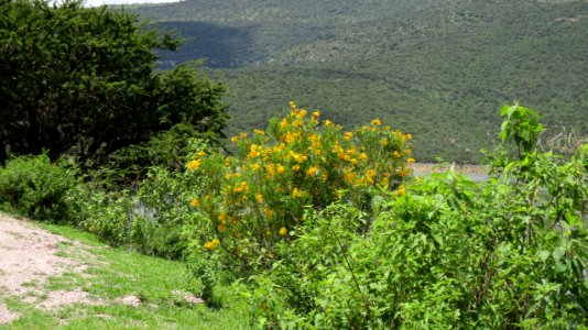 PRESA GPE. VICTORIA (21)