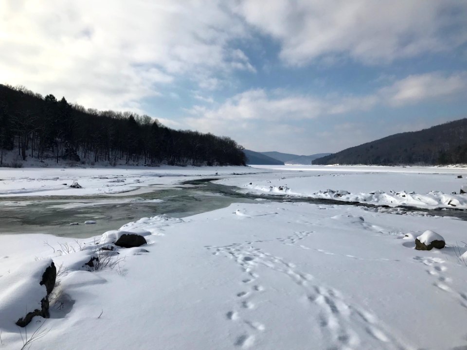 2018-FS-Allegheny-LP