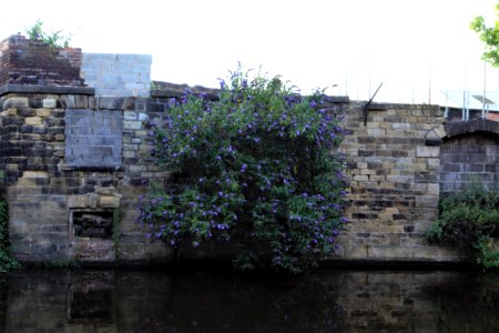 DSC 0270