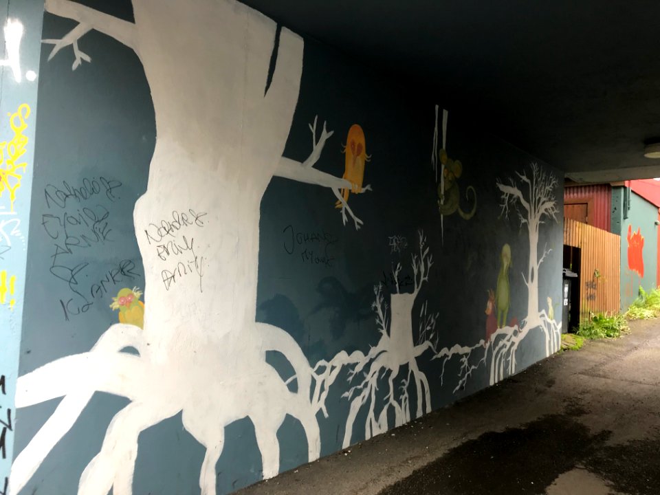 Reykjavík Graffiti