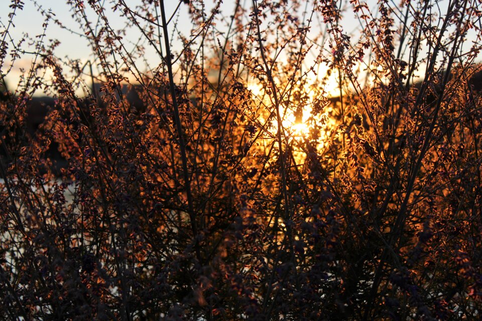 Nature landscape sunlight