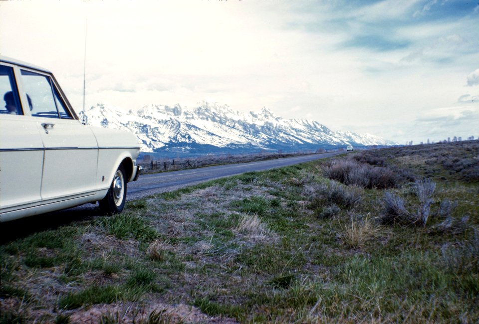Yellowstone, USA, 1962
