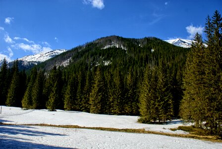 Spring tourism western tatras photo