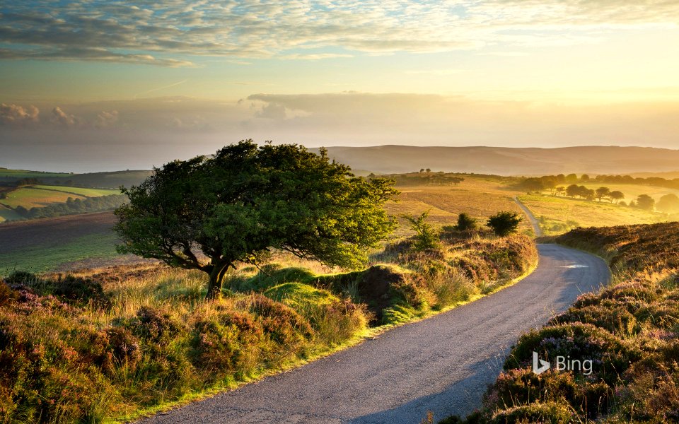 Stoke Pero Common, Exmoor National Park, England, UK