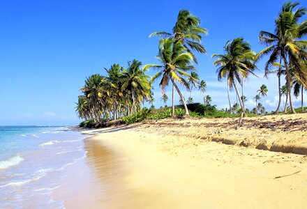 Beach bavaro tropics photo