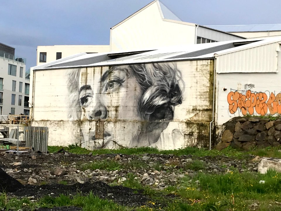 Reykjavík Graffity