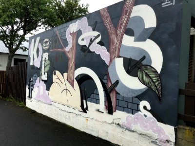Reykjavík Graffiti