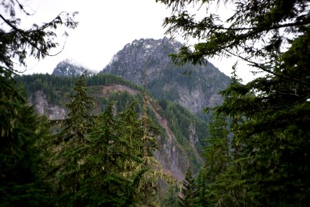 Mt. Rainier national park 2 photo