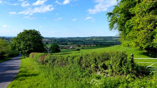 The lovely Cotswolds.