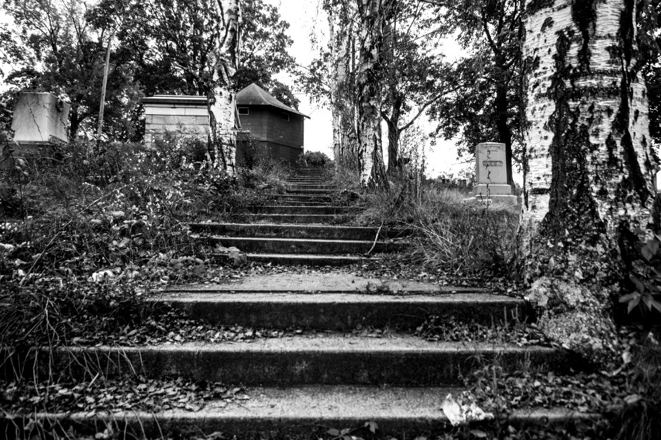 cemetery medium-desaturated