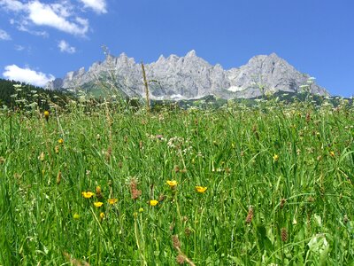 Tirol alps green mountain photo