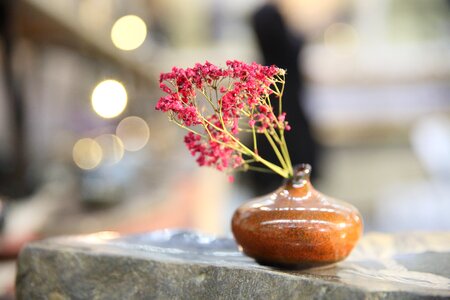 Decoration flower arrangement tea