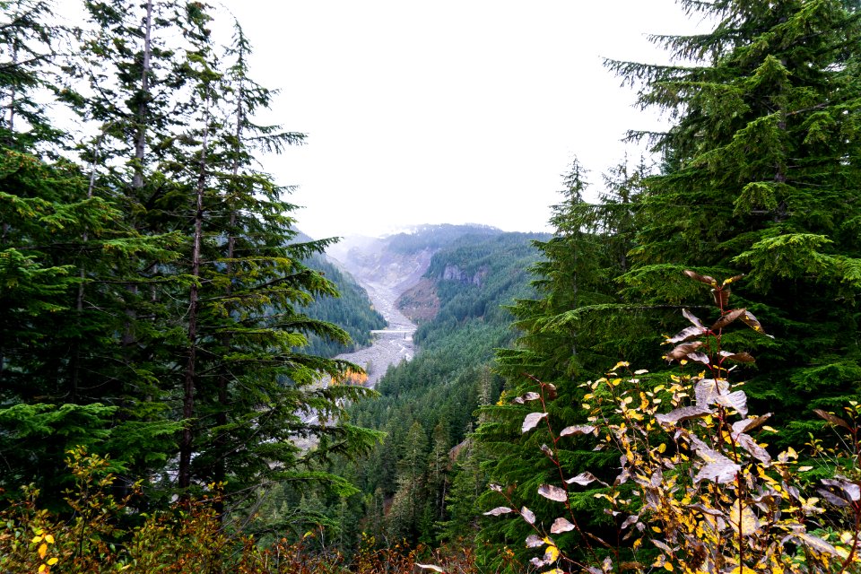Mt. Rainier national park