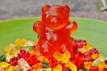 Gummi bear bear delicious