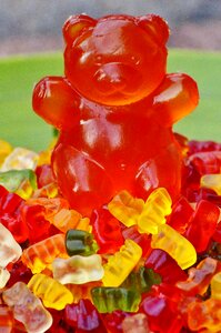 Gummi bear bear delicious