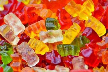 Bear delicious color