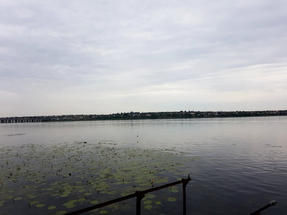 Берег Дніпра 2