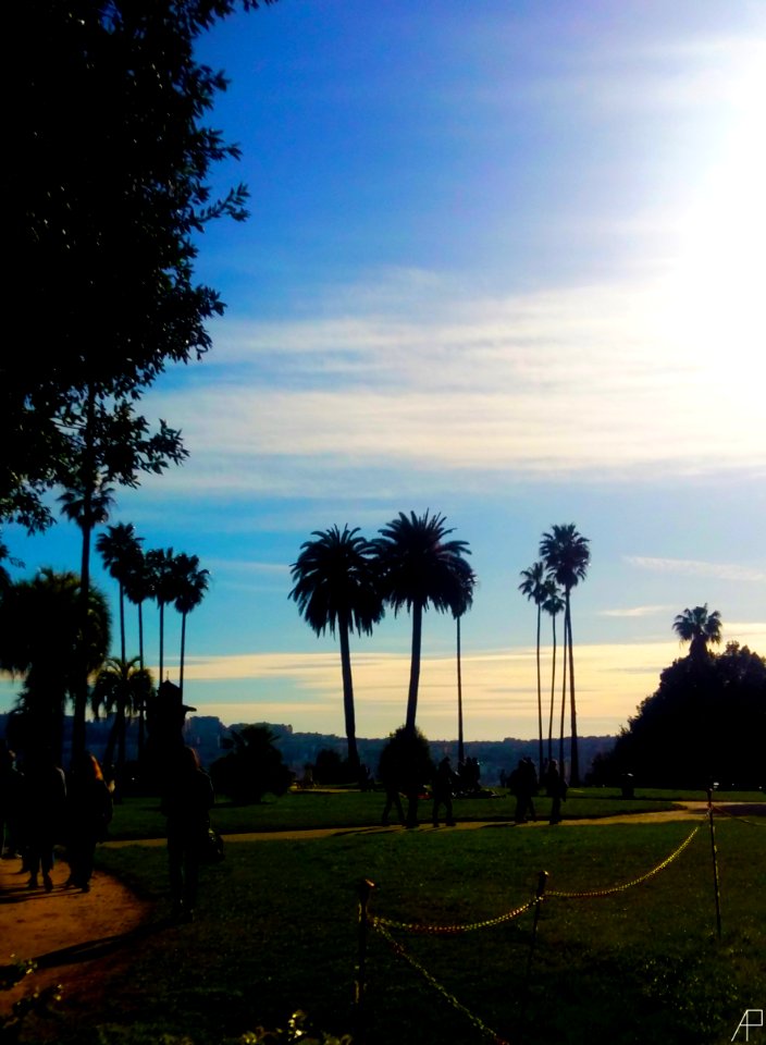 Capodimonte Gardens | Napoli