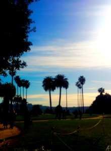Capodimonte Gardens | Napoli