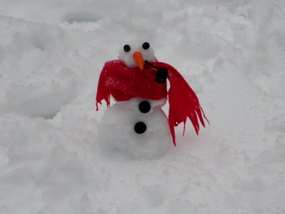 misc little snowman photo