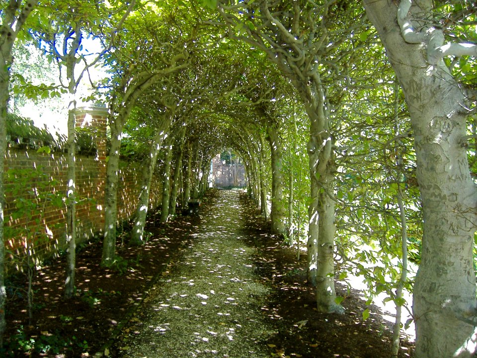 flora archway2