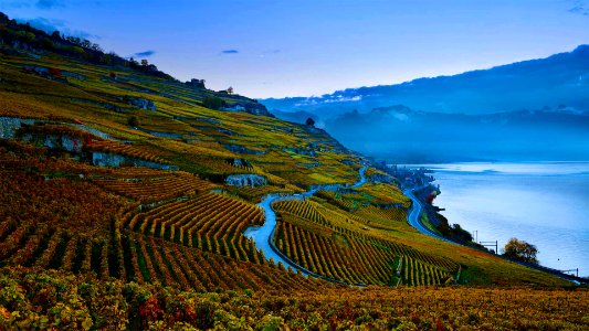 20200929-Lavaux ROW0865580607 1920x1080
