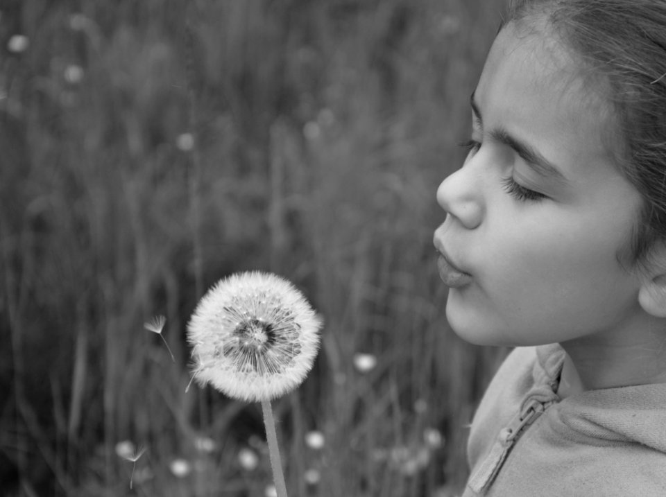 Souffle de l'enfance sème la suite