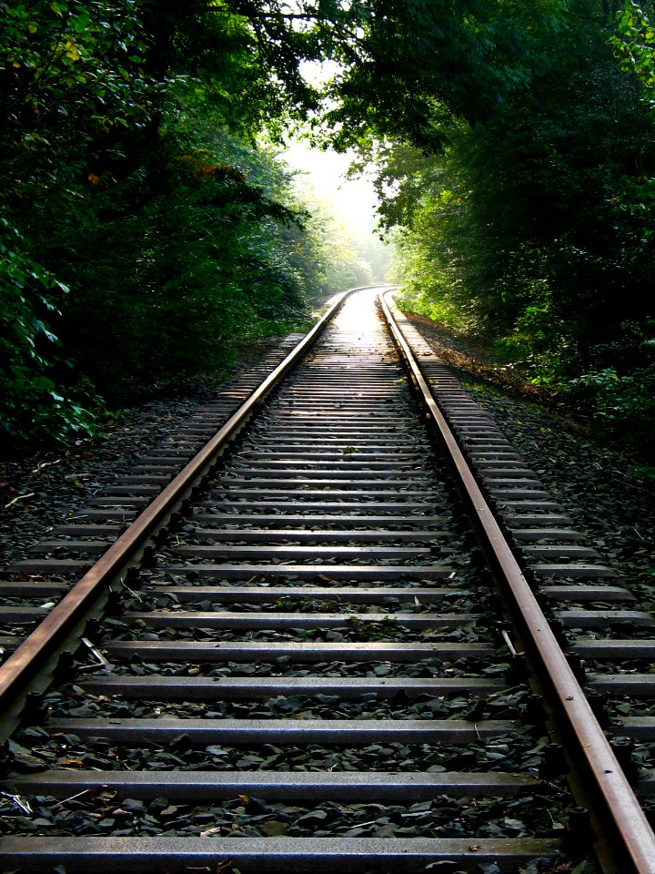 Gleis nach irgendwo - Track