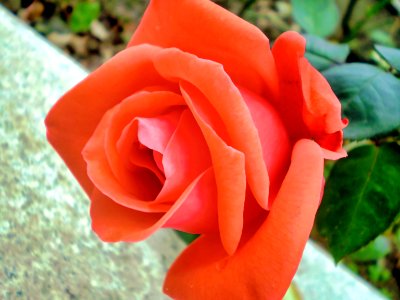 033-(2010-04-03)南海順德+白水寨三天-第二天
